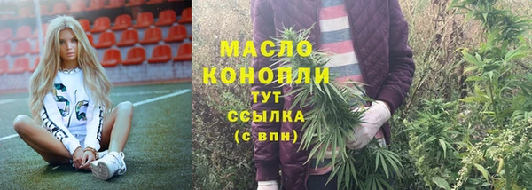 дживик Богородск